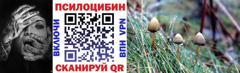 Псилоцибиновые грибы мухоморы  Арсеньев 