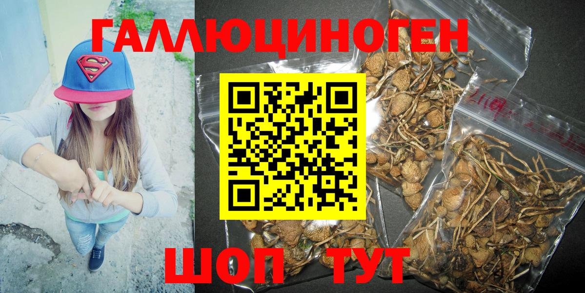 Арсеньев  Псилоцибиновые грибы Psilocybine cubensis  Псилоцибиновые грибы GOLDEN TEACHER  Вход с VPN 