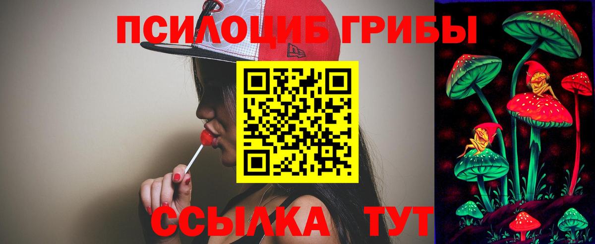 Псилоцибиновые грибы Cubensis Арсеньев